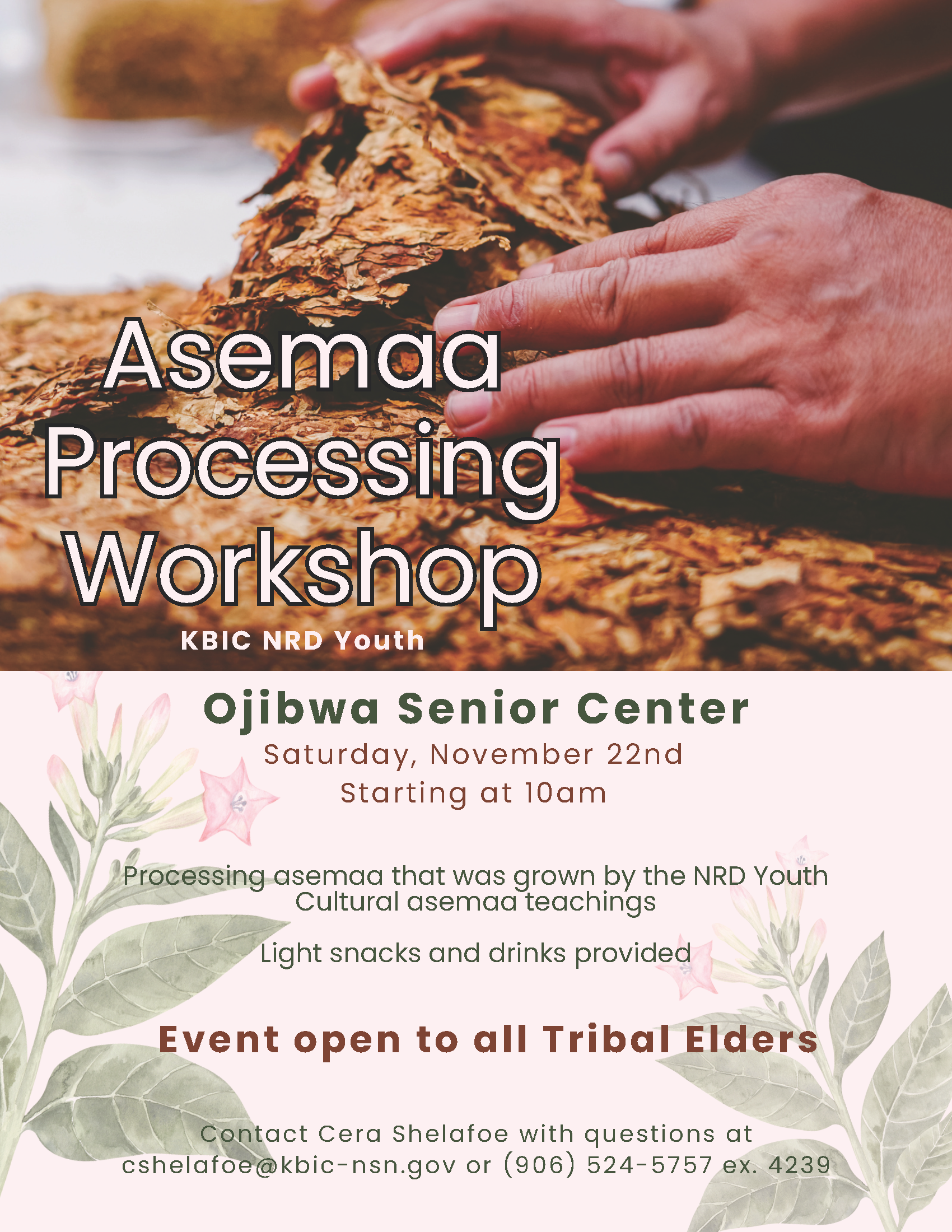 Asemaa Processing Workshop notice